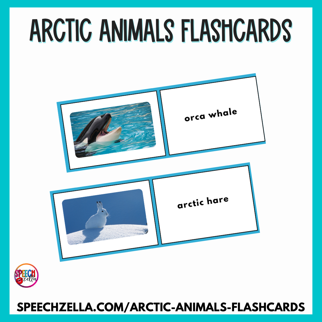 Arctic Animals Flashcards