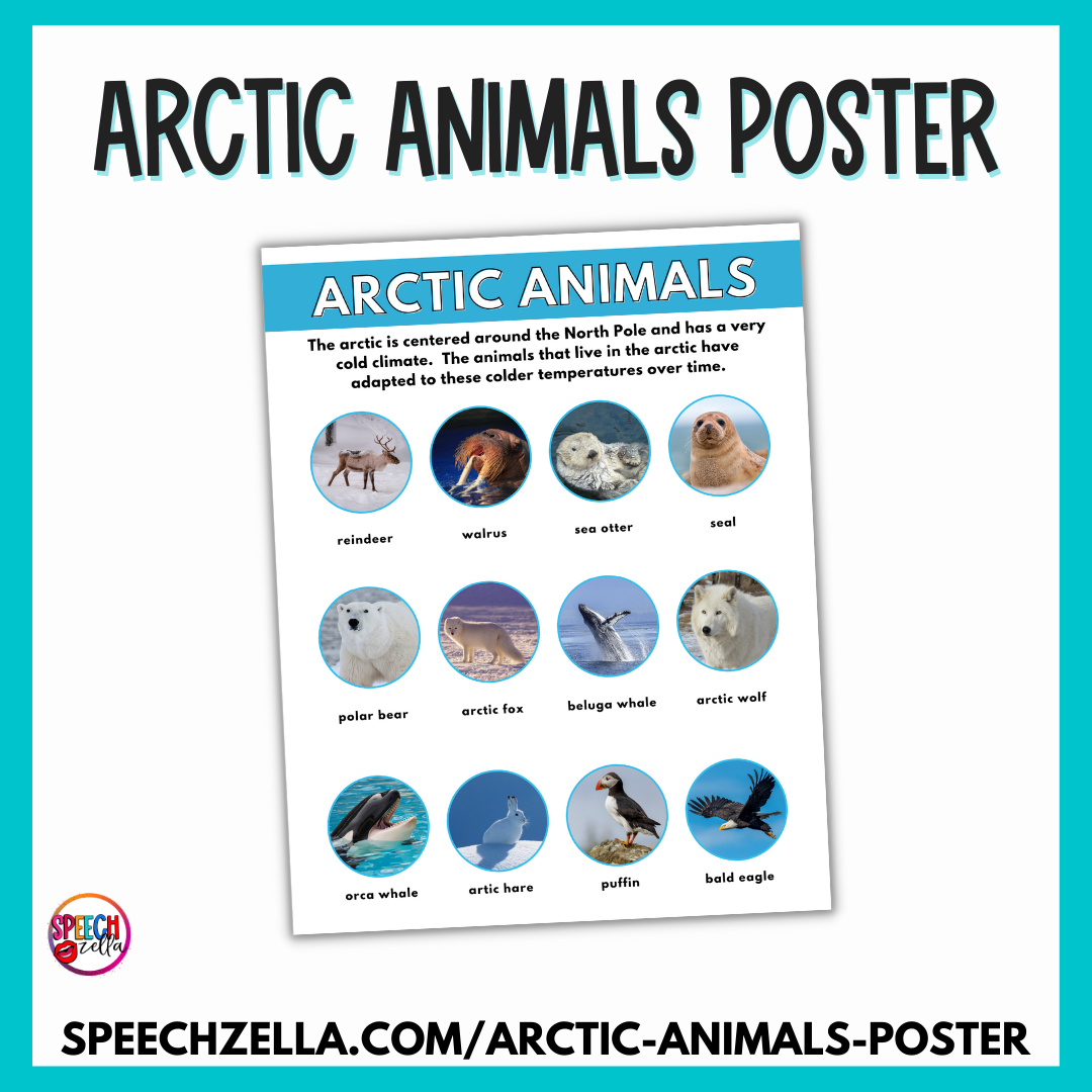 Arctic Animals Poster