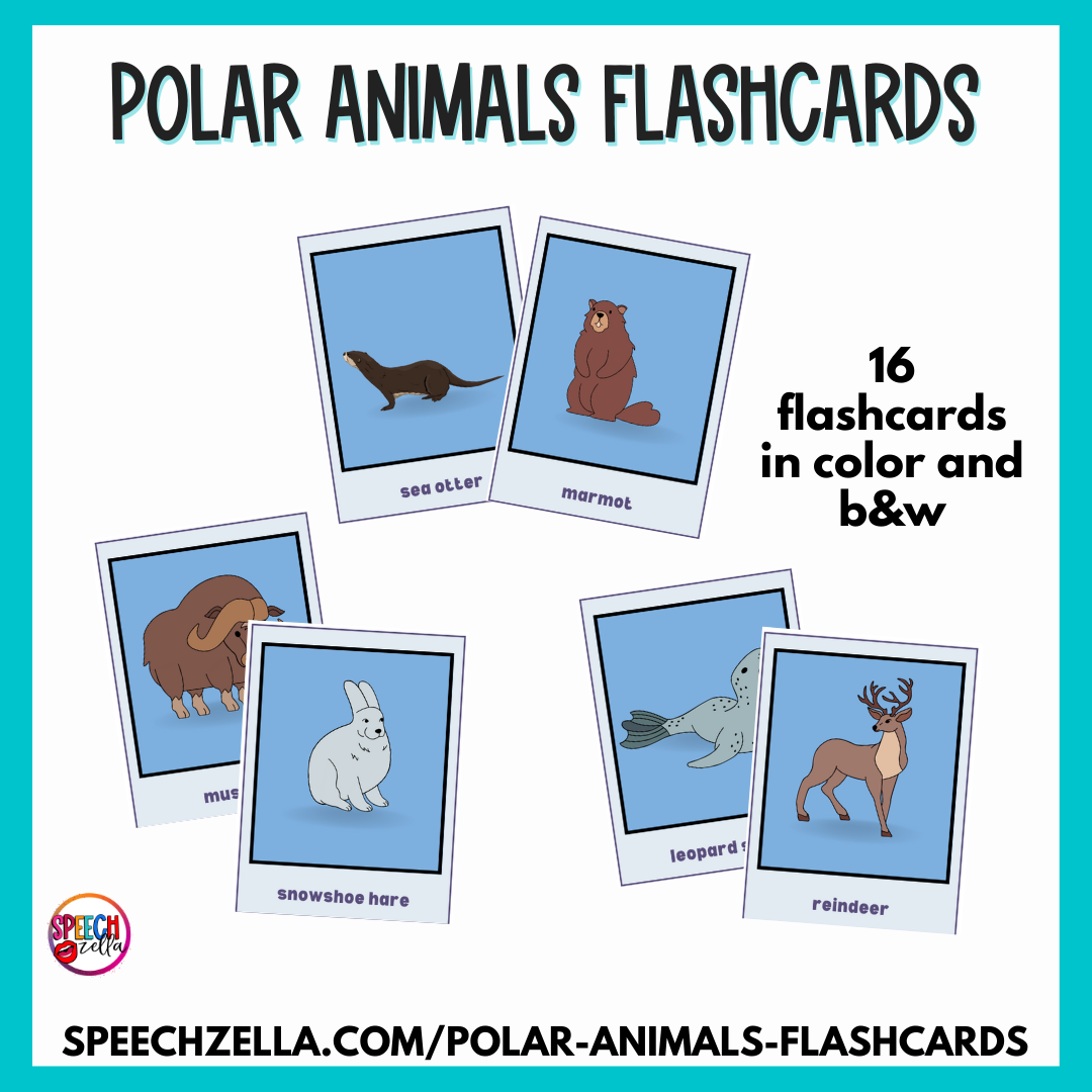 Polar Animals Flashcards