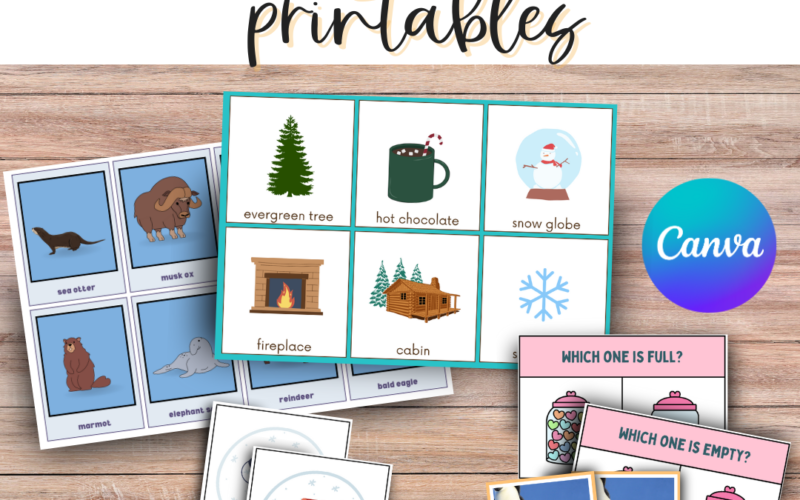 Winter Flashcards Printable